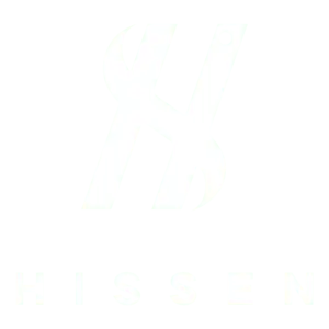 hissen global logo