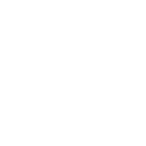 Глобальный логотип Хиссен