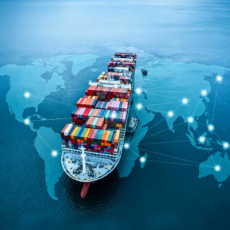 Import Clearance Support